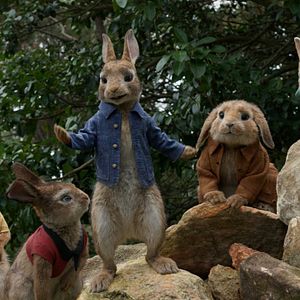 Foto Peter Rabbit