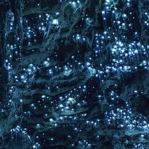 Foto Earth: One Amazing Day