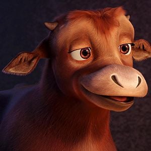 Foto Se armó el Belén