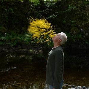 Foto Andy Goldsworthy