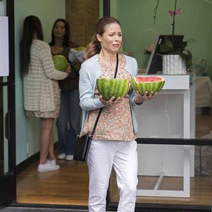 Foto Recién llegados