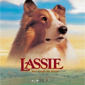 Foto El regreso de Lassie