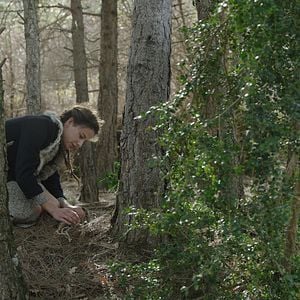 Foto Bajo la piel de lobo