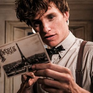 Foto Eddie Redmayne