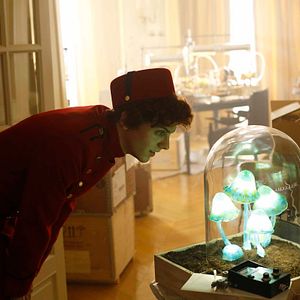 Foto Thomas Solivérès