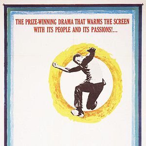 Foto Un lunar en el Sol