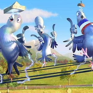 Foto Richard, la cigüeña