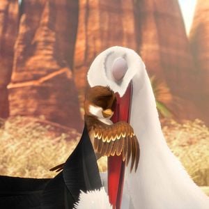 Foto Richard, la cigüeña