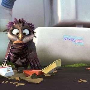 Foto Richard, la cigüeña