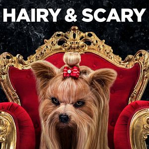 Foto Superagente canino