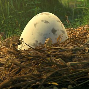 Foto Ploey, nunca volarás solo