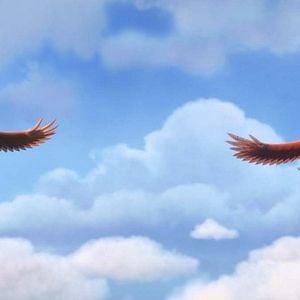 Foto Ploey, nunca volarás solo