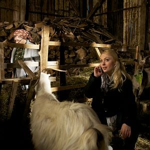 Foto Un amor de diseño