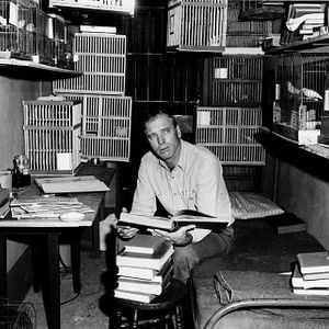 Foto El hombre de Alcatraz