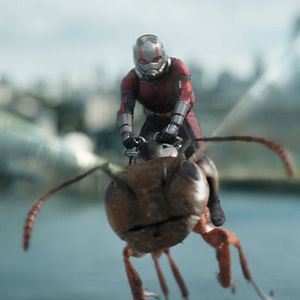 Foto Ant-Man y la Avispa