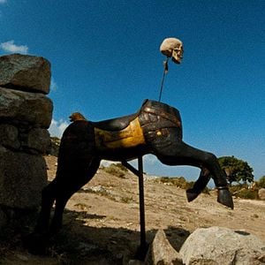 Foto Laissez bronzer les cadavres