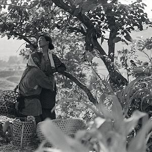 Foto La mujer insecto