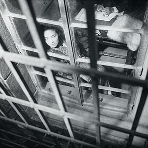 Foto La mujer insecto