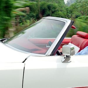 Foto François Damiens