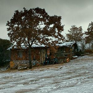 Foto El peral salvaje