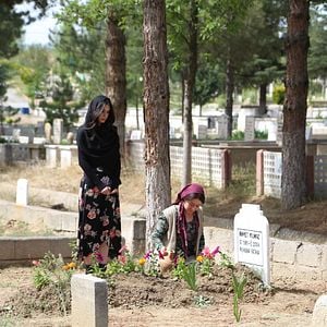 Foto Entre el amor y el odio