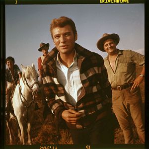 Foto Johnny Hallyday