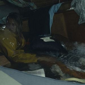 Foto Shailene Woodley