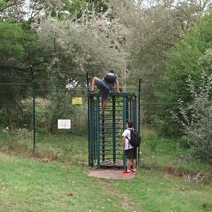 Foto L'Île au trésor (Treasure Island)