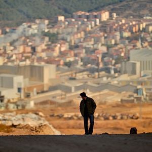 Foto El peral salvaje