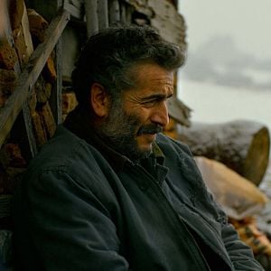 Foto El peral salvaje