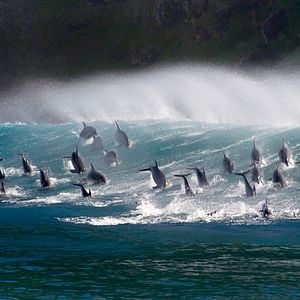 Foto Oceans: Our Blue Planet