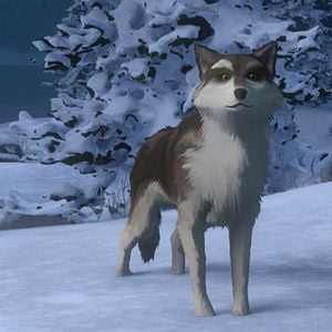 Foto Colmillo blanco