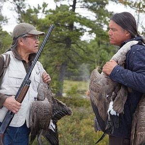 Foto Through Black Spruce