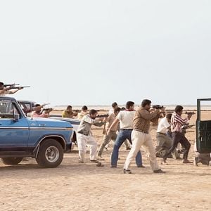 Foto Pájaros de Verano