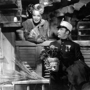 Foto El diablo es una mujer