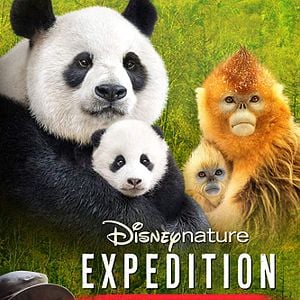 Foto Disneynature. Expedición. China.