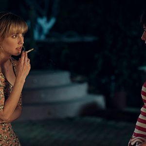 Foto Animales sin collar