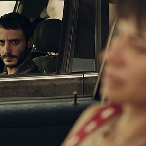 Foto Animales sin collar