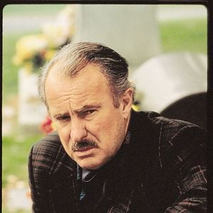 Foto Dos sabuesos despistados