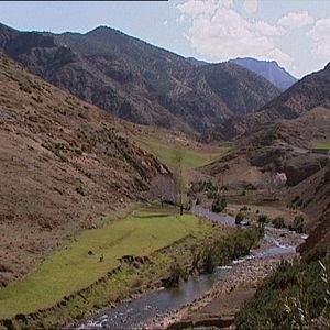 Foto Lo posible y lo necesario