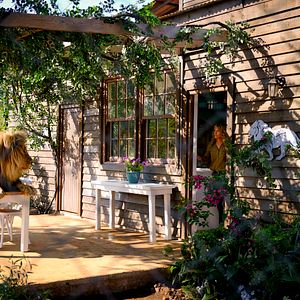 Foto Mia y el león blanco