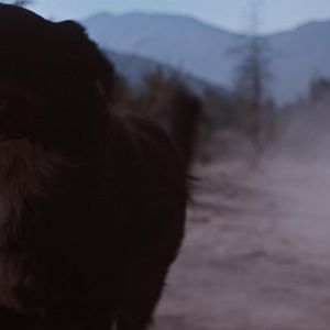 Foto Tarde Para Morir Joven