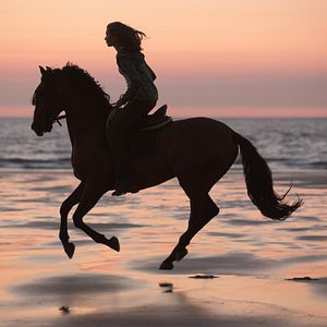 Foto Un verano inolvidable