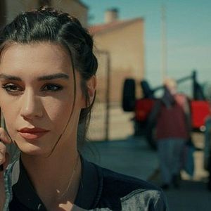 Foto Entre el amor y el odio