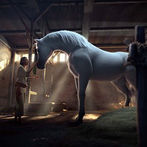 Foto Bilal: A New Breed of Hero