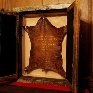 Foto La piel de zapa