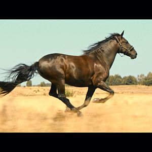 Foto Un verano inolvidable