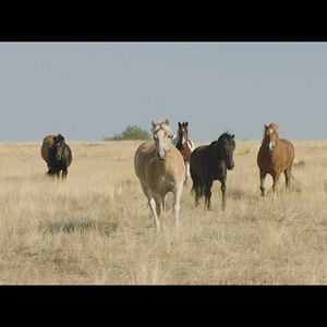 Foto Un verano inolvidable