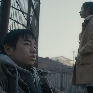 Foto An Elephant Sitting Still