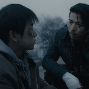 Foto An Elephant Sitting Still